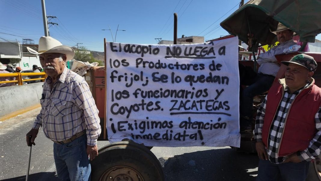 Aseguran que la ampliación del acopio puede beneficiar solo a los 