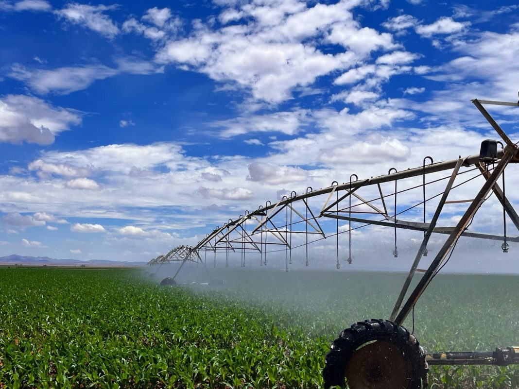 La autoridad detalló que en 2025 el PEUA permitió un ahorro global a los agricultores de alrededor de mil 300 millones de pesos durante el año. Foto: Cortesía.
