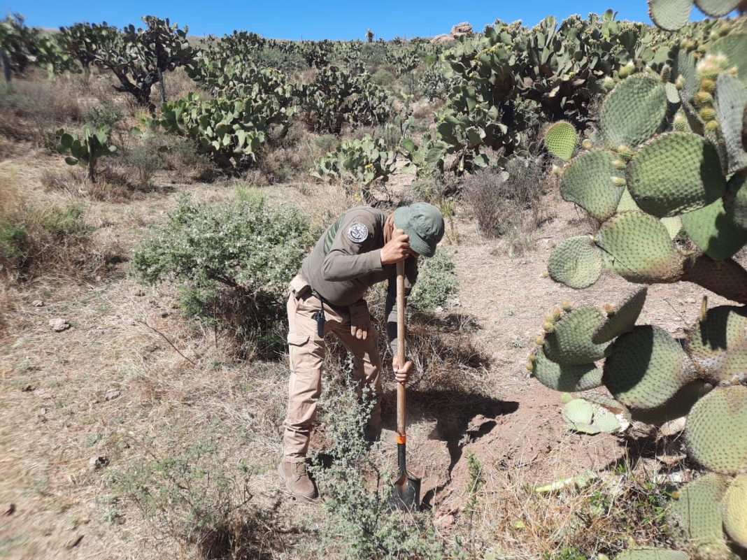 En esta búsqueda, se hicieron recorridos pie tierra, en diferentes polígonos. Foto: Cortesía.