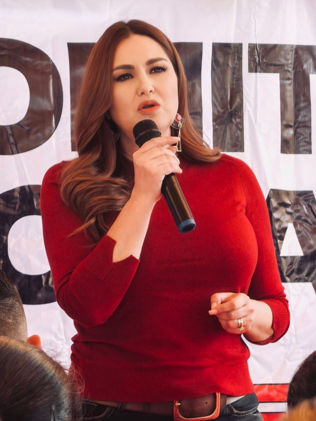 Geovanna Bañuelos pidió a la Cofepris reforzar inspecciones físicas y digitales. Foto: Cortesía.
