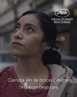 Ceniza en la boca, dirigida por Diego Luna