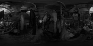 Yellowfin -Project Photos 2- Compétition Immersive 2026, en Cannes