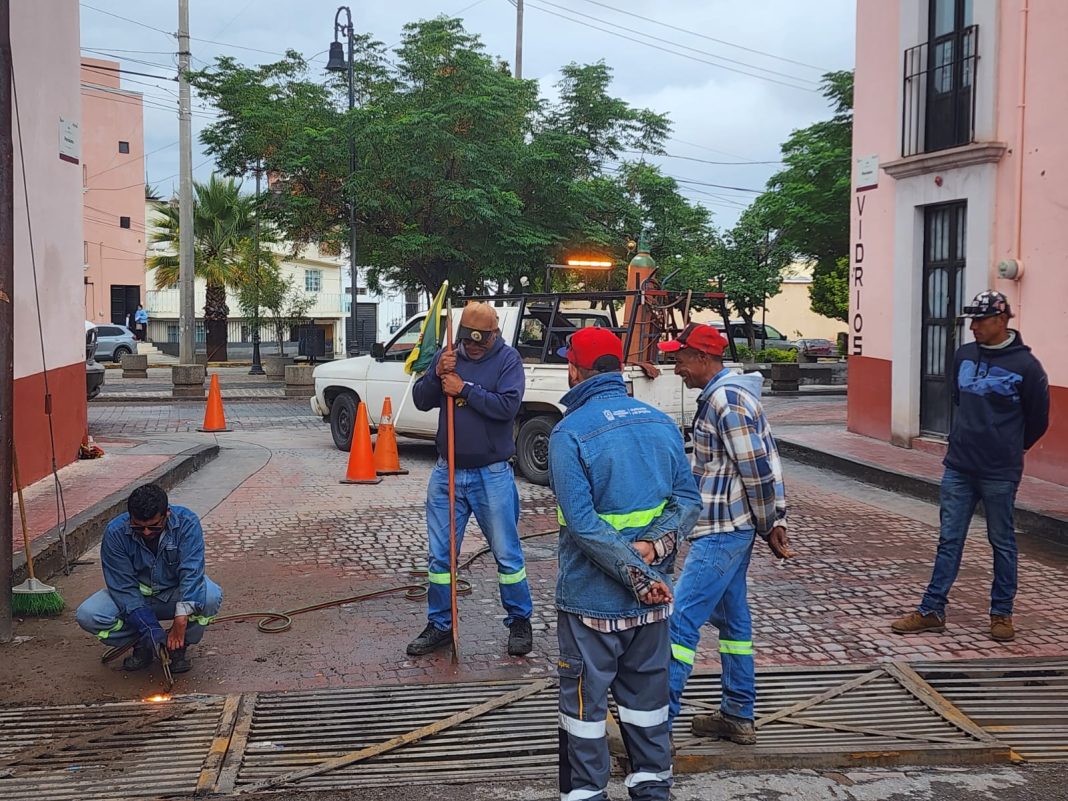 Personal de Servicios Públicos, Obras Públicas y Protección Civil levantan 11 toneladas y media en tres días. Foto: Cortesía.