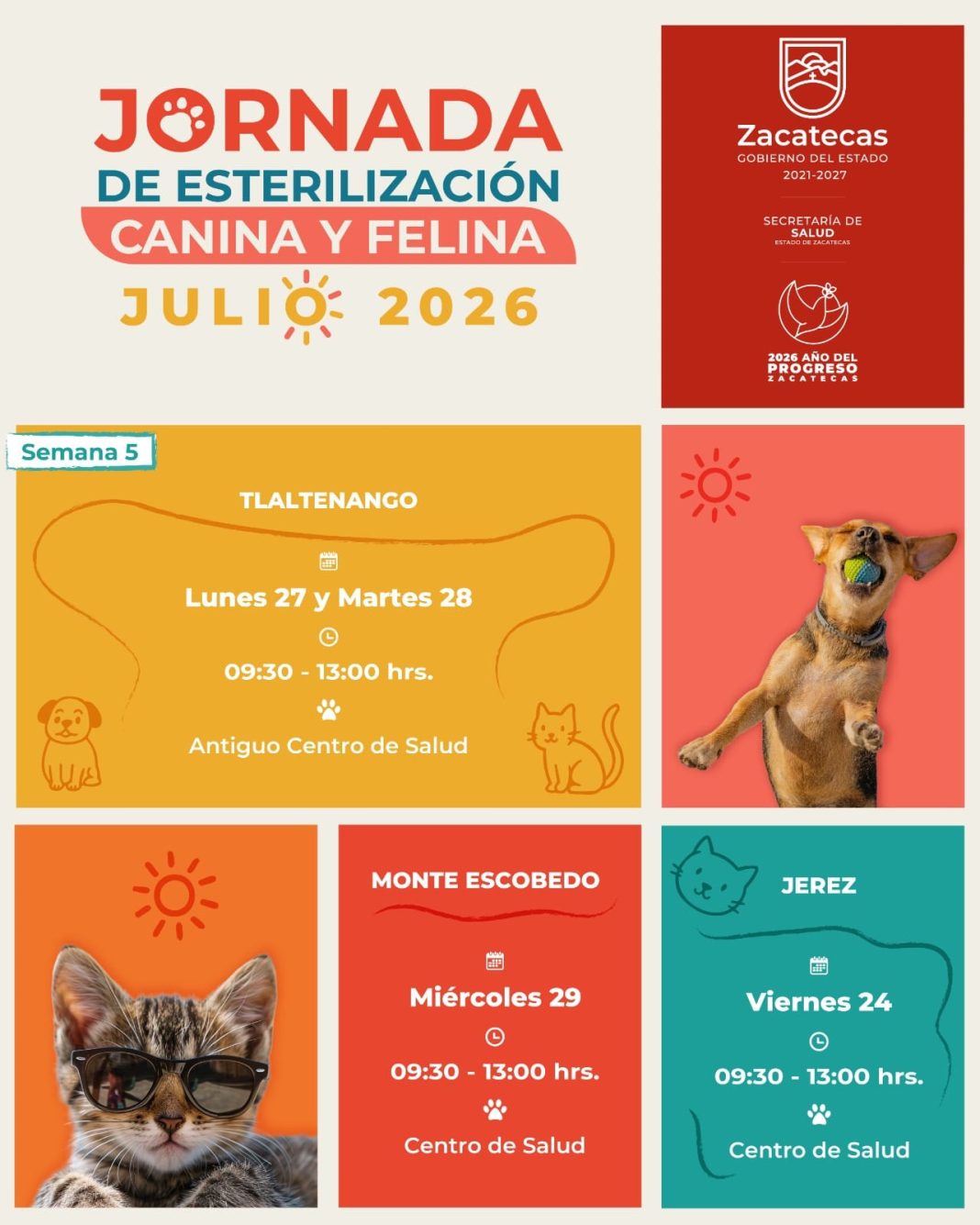 Desde hoy y hasta el jueves la SSZ instalará módulos para esterilizar sin costo a perros y gatos. Foto: Godezac.